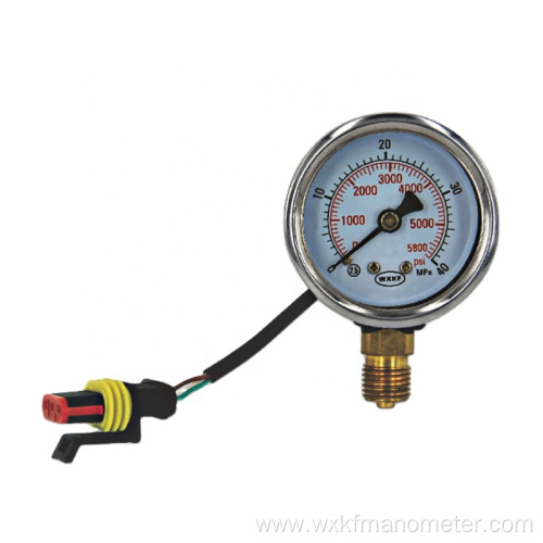 Super quality exported cng pressure gauge